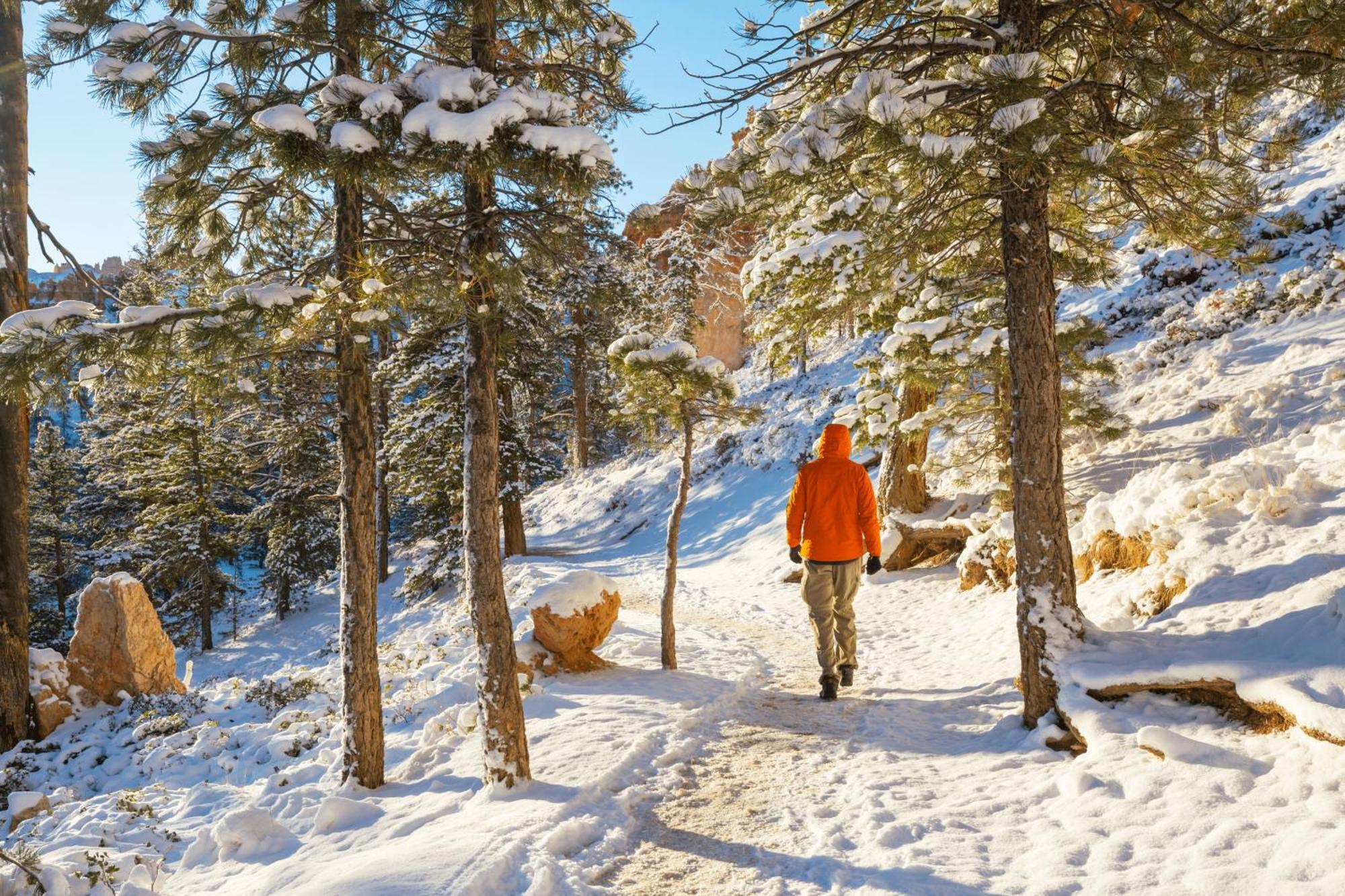Charmant T3 Avec Vue Montagne Et Parking Privatif Font-Romeu-Odeillo-Via Esterno foto